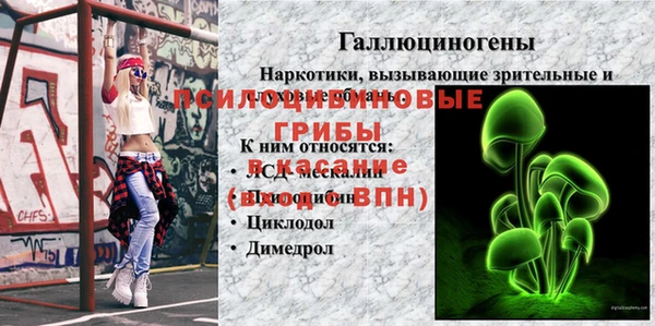 apvp Балабаново