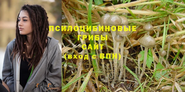 apvp Балабаново