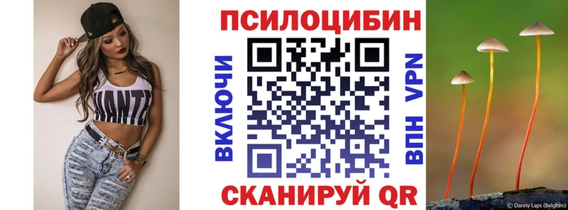 Галлюциногенные грибы Cubensis  купить   Кушва 
